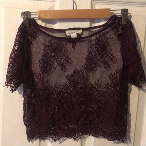Eyelash Lace Maroon Crop Top